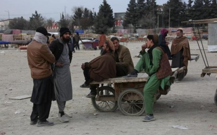 Afganistan Holopis