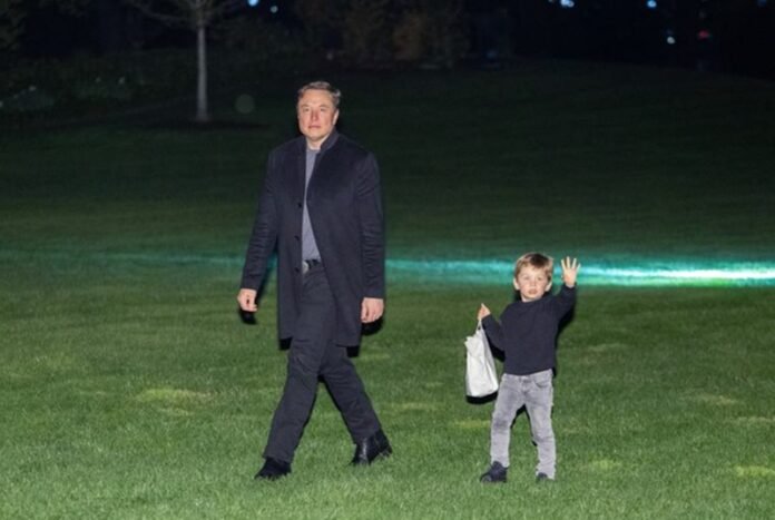 Elon Musk Holopis