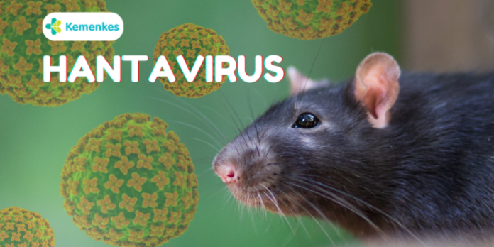 Hantavirus Holopis