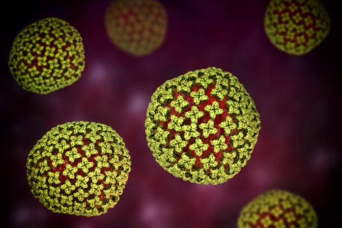 Hantavirus Holopis