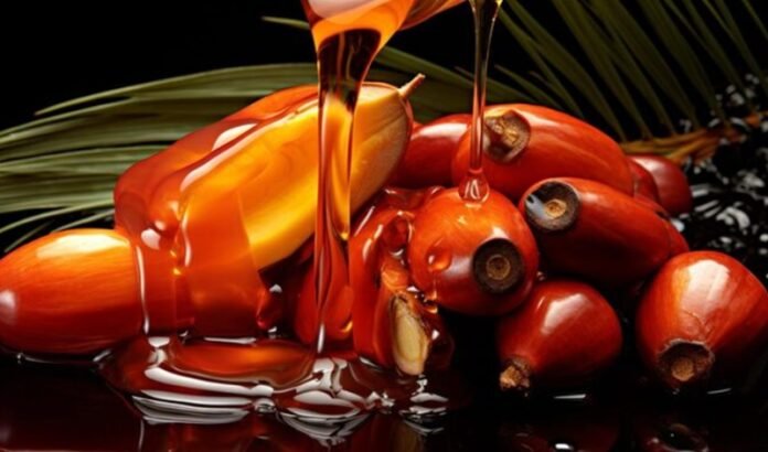 Ilustrasi Crude Palm Oil Cpo Holopis