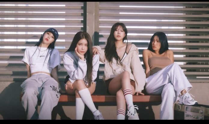 Mamamoo Holopis