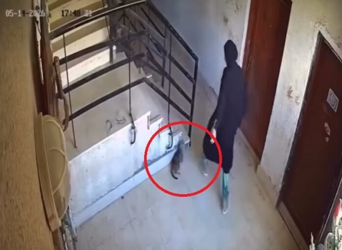 Video CCTV
