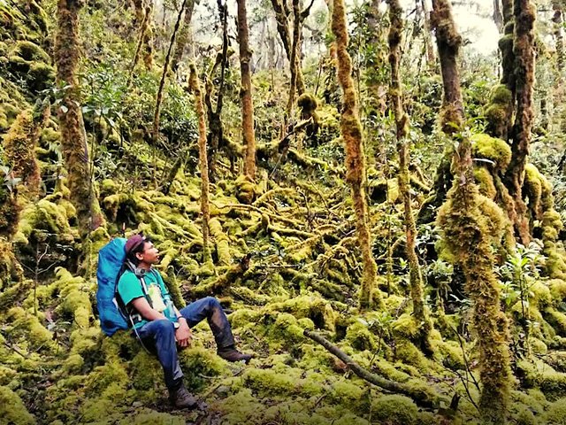 Gunung Balease Holopis