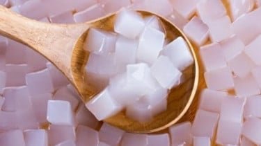 Nata de Coco Holopis