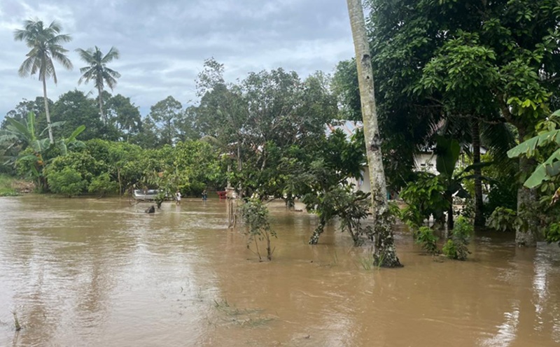 Banjir Palopo Holopis