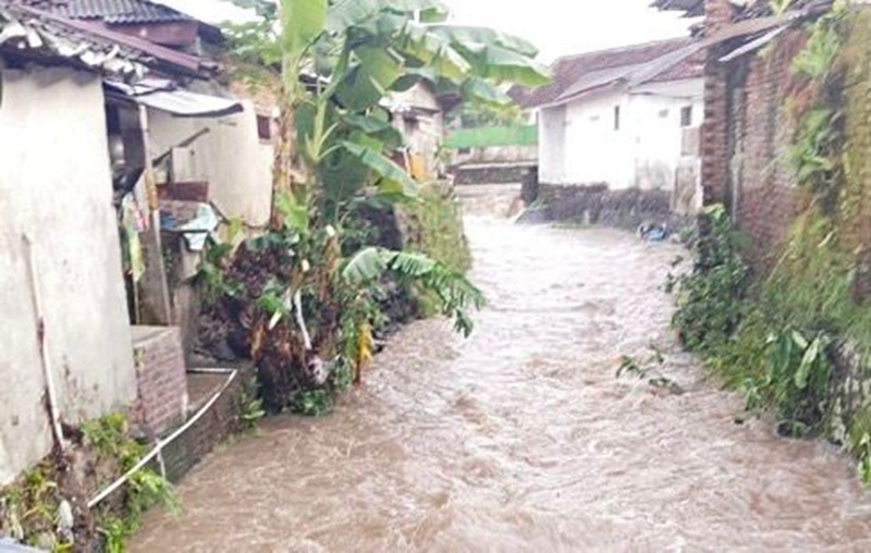 Banjir Rogojampi Holopis