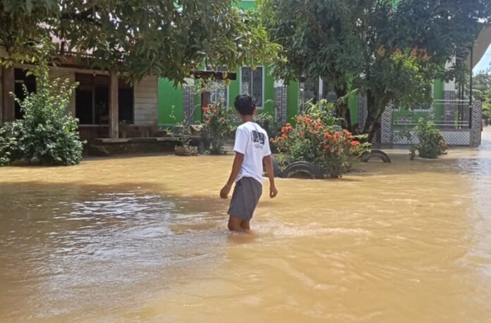 Banjir Langkat Holopis