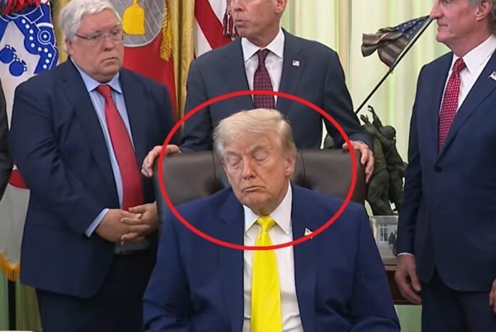 Donald Trump Holopis.com