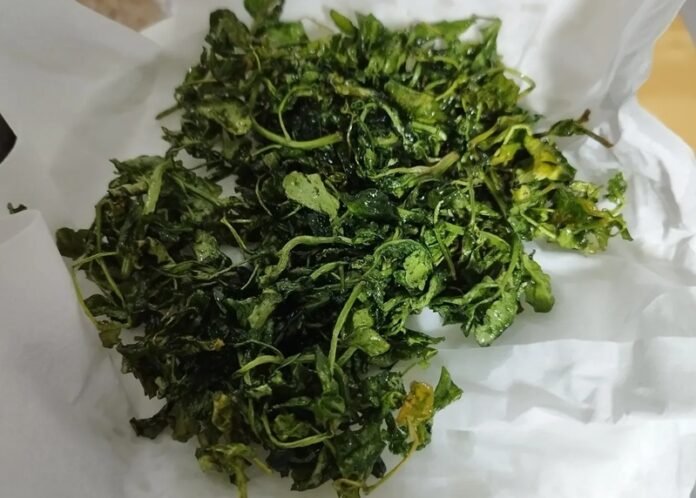 Jukut Goreng Slada Air Holopis