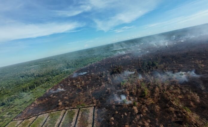 Karhutla Aceh Barat Holopis