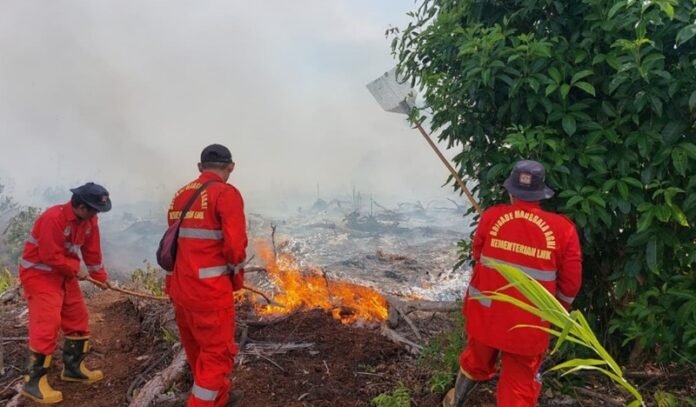 Kemenhut Perkuat Operasi Manggala Agni Tangani Karhutla Di Sumatera Holopis
