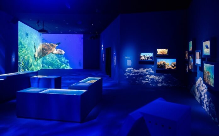 Pameran Laut Dalam Holopis