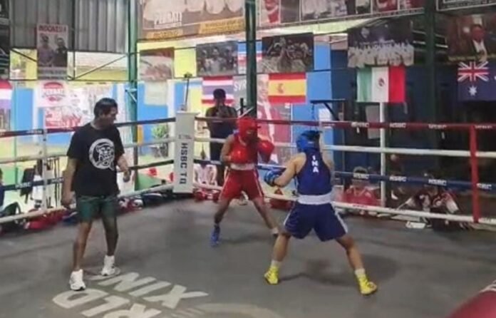 Petunju Muda Indonesia Di Atas Ring Holopis