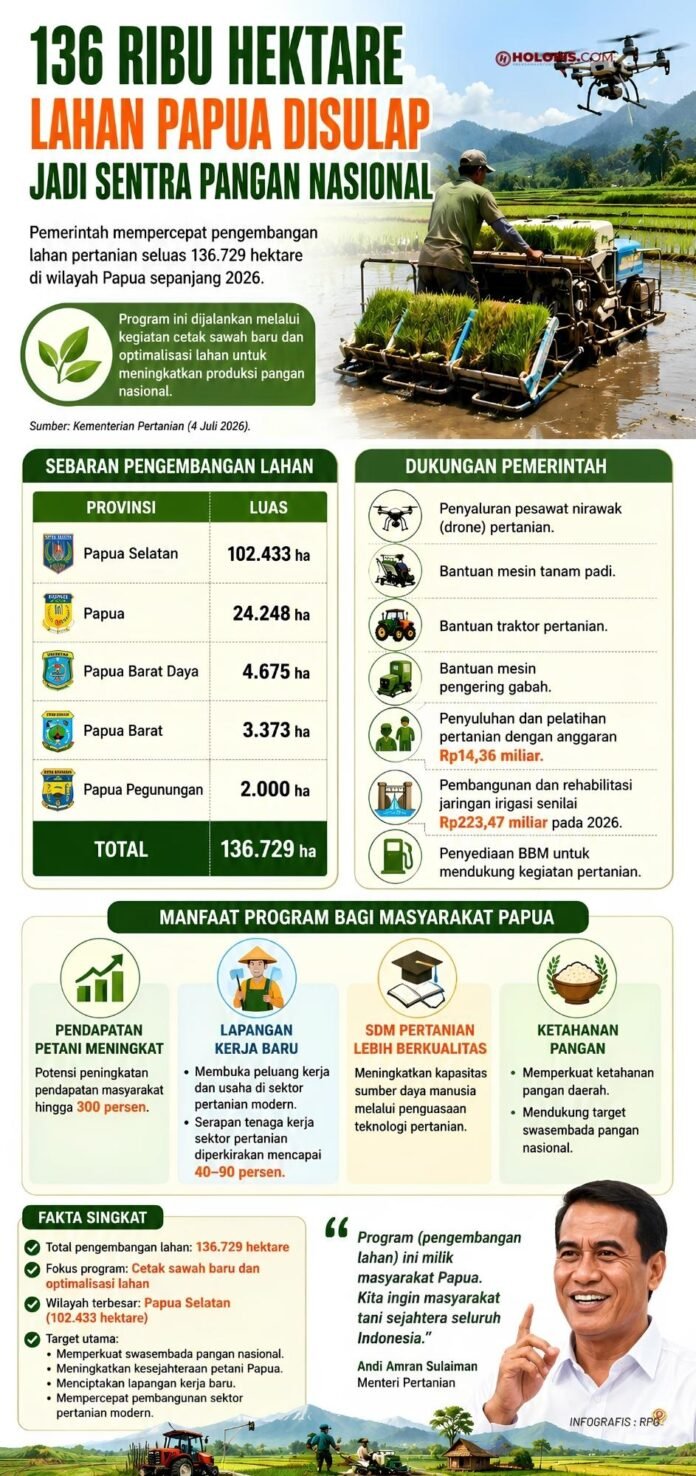 136 Ribu Hektare Lahan Papua Disulap Jadi Sentra Pangan Nasional Holopis