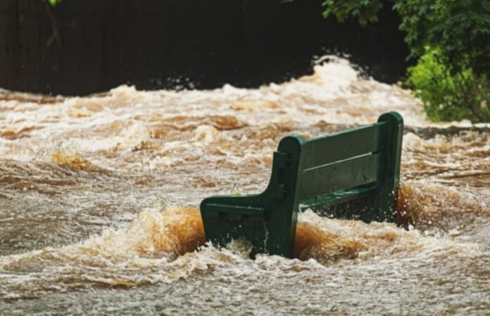 Banjir Holopis.com