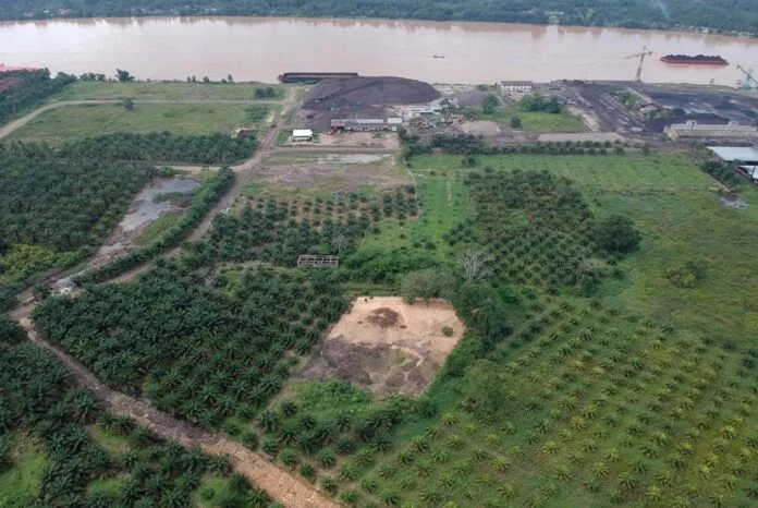 Kompleks Candi Muaro Jambi dikepung Sawit Holopis