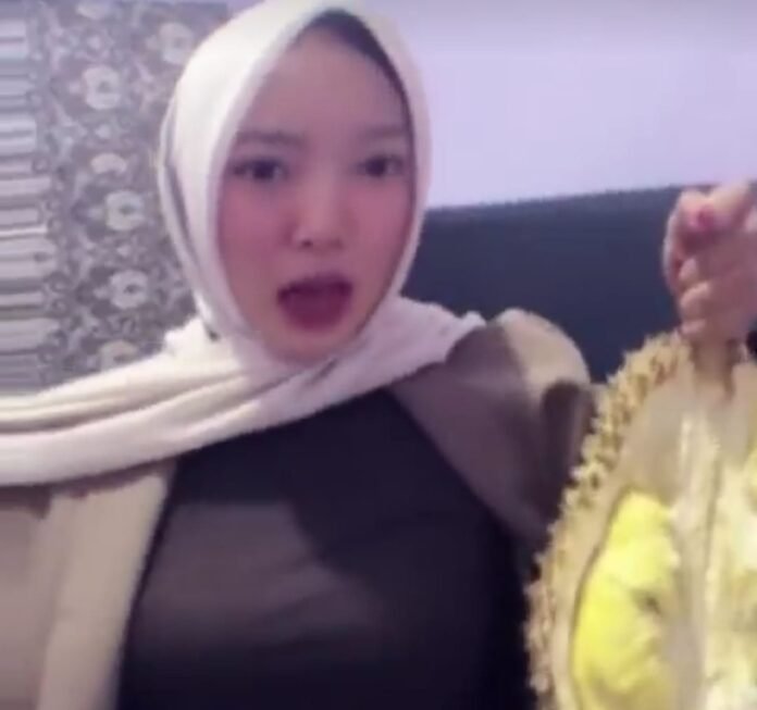 Durian Coolmax Holopis