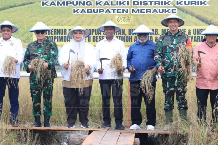 Petani Di Papua Selatan Holopis