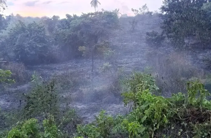Karhutla Di Lhokseumawe Holopis