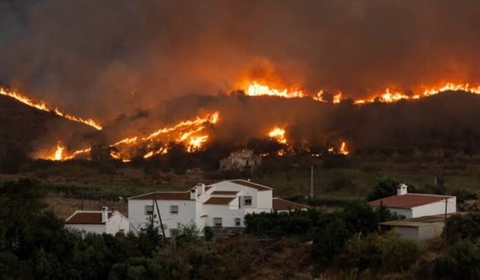 Kebakaran hutan Spanyol Holopis.com
