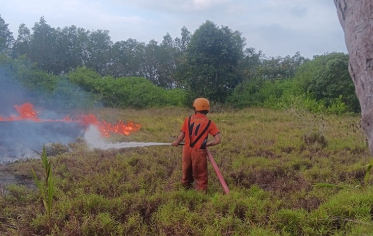 Kebakaran Hutan Holopis.com
