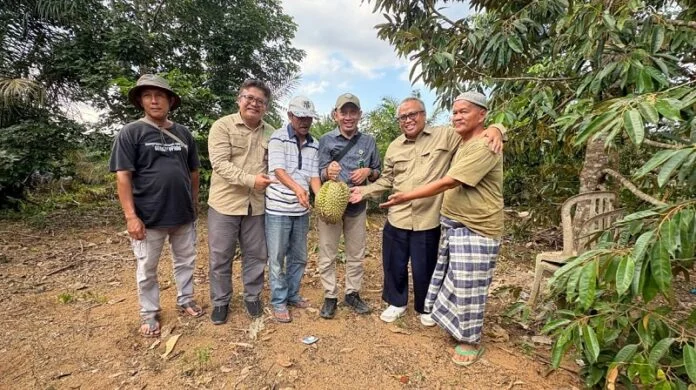 Kemenhut Dorong Penataan Masa Depan Pengelolaan Persemaian Lewat Pengawasan Bersifat Antisipatif Holopis