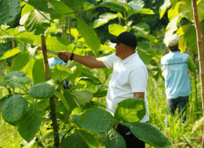 Rudy Susmanto Di Hutan Kota Kabupaten Bogor