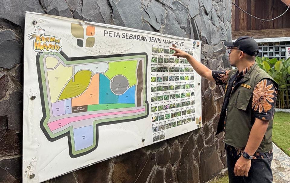 Upn Veteran Jawa Timur Di Kebun Raya Mangrove Surabaya