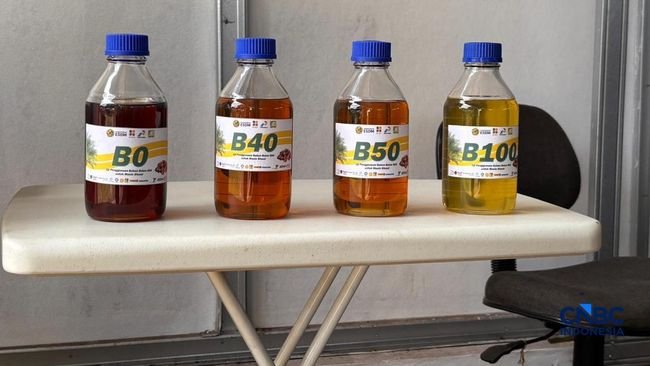 Biodiesel Holopis
