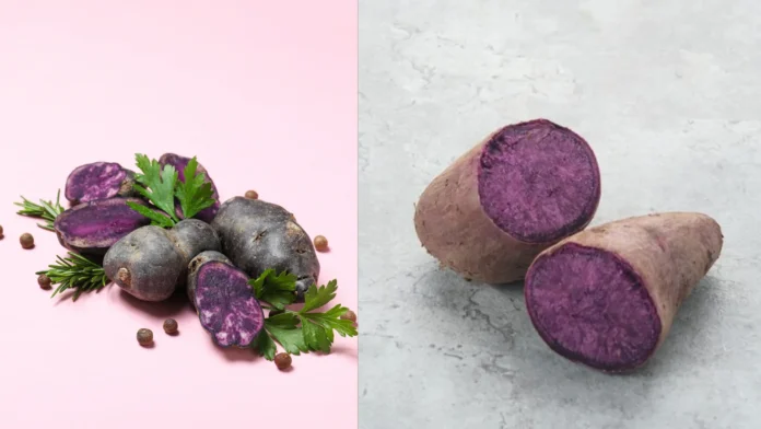 Ube dan Ubi Ungu Holopis