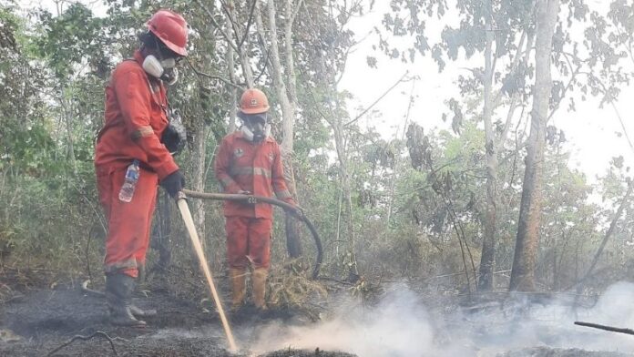 2kebakaran Hutan Holopis 2