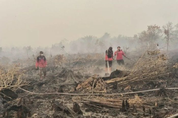 Kebakaran Hutan Holopis