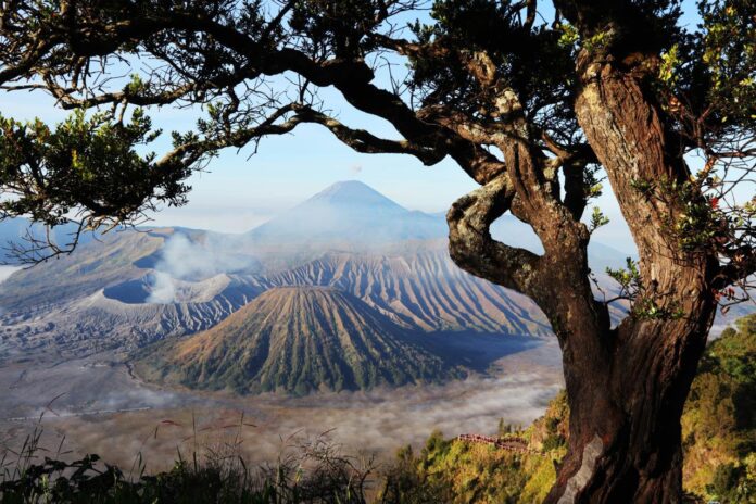 Bromo