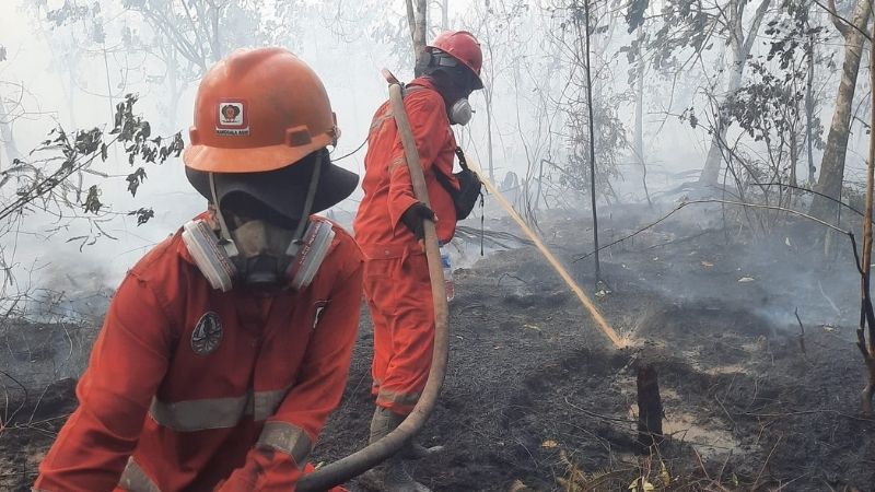 Kebakaran Hutan Holopis 1