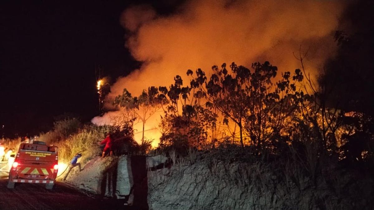 Karhutla Kutai Barat Meluas 41551 Hektare Hutan Dan Lahan Terbakar Istimewa 1787212761754 169