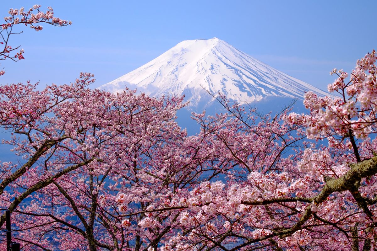 Gunung Fuji Holopis