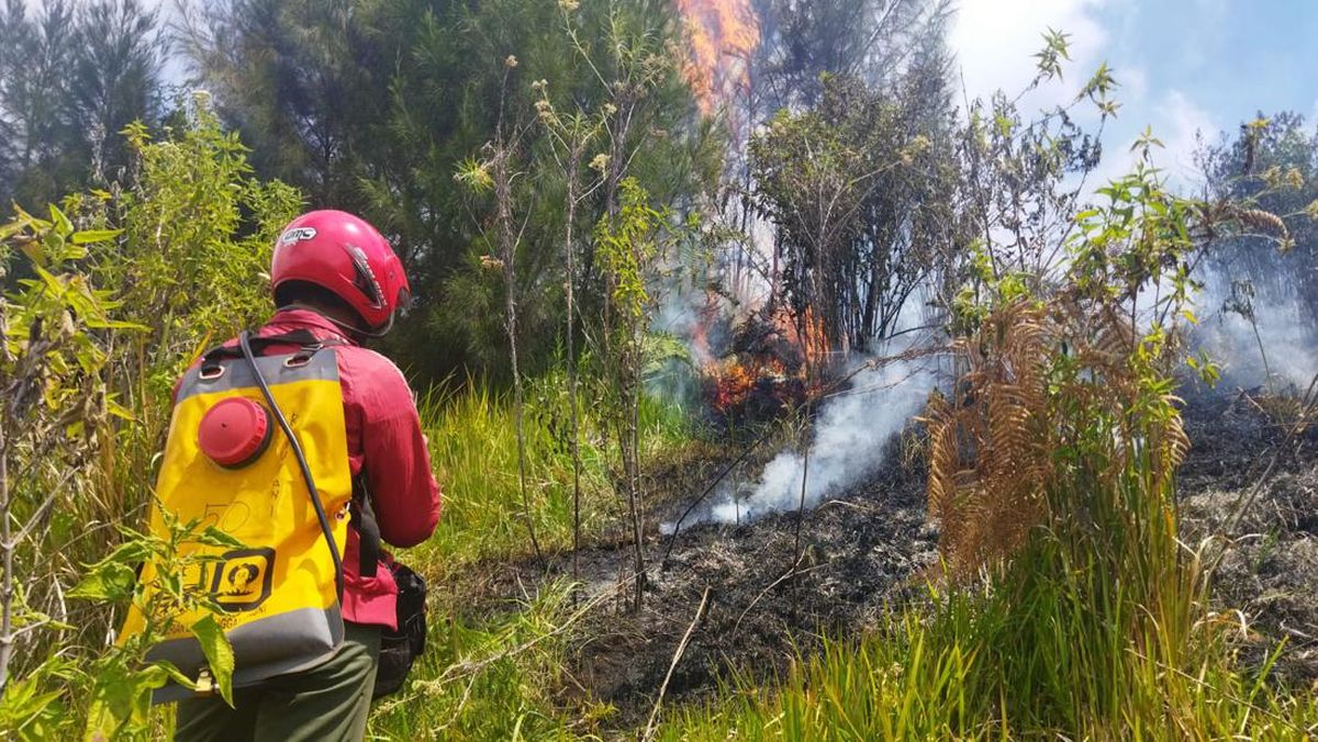 Kebakaran Semeru Holopis