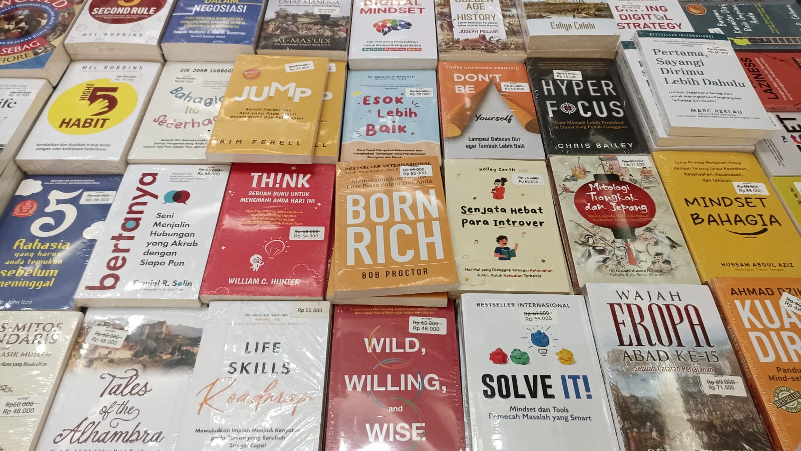 Koleksi Buku Holopis
