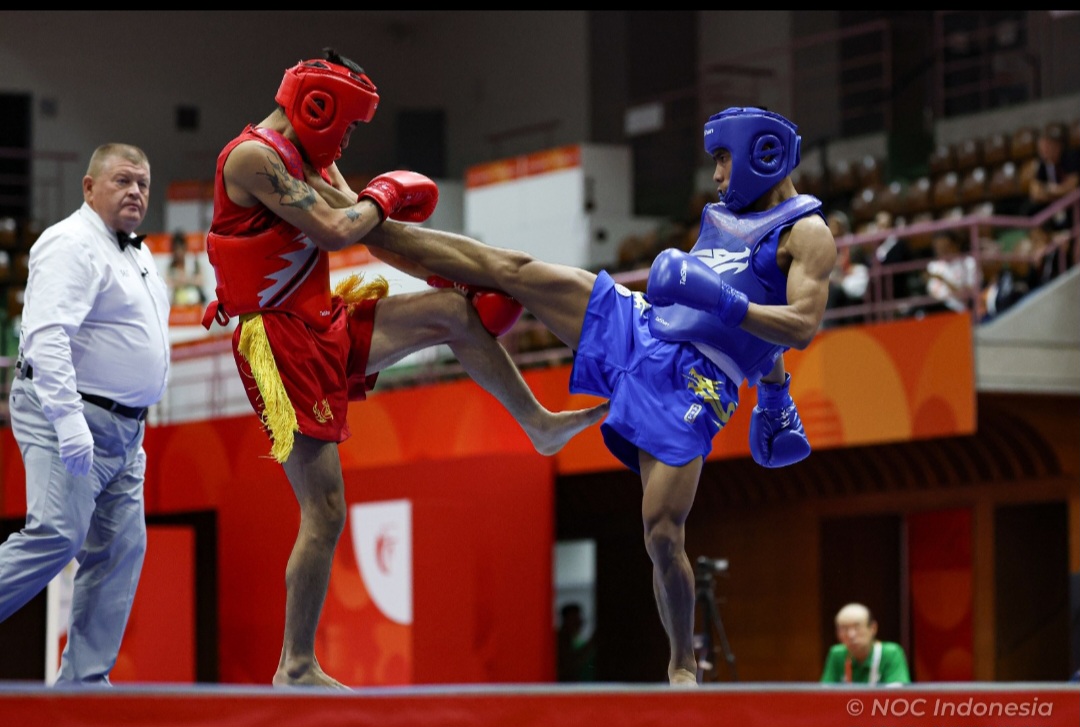 Sanda Wushu Holopis