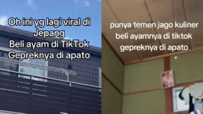 Ayam Geprek Viral Holopis