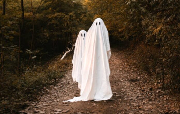 Holopis Kostum Halloween