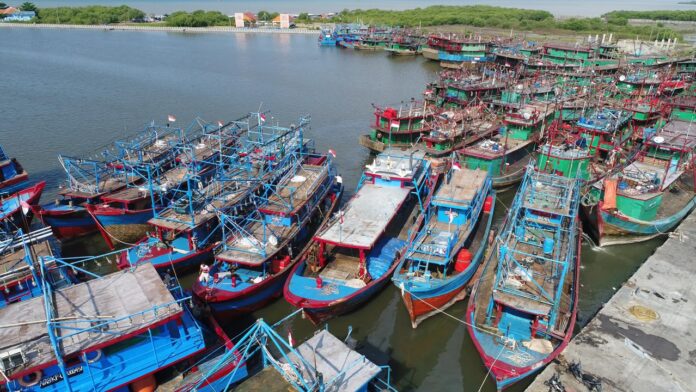 Kapal Perikanan Holopis